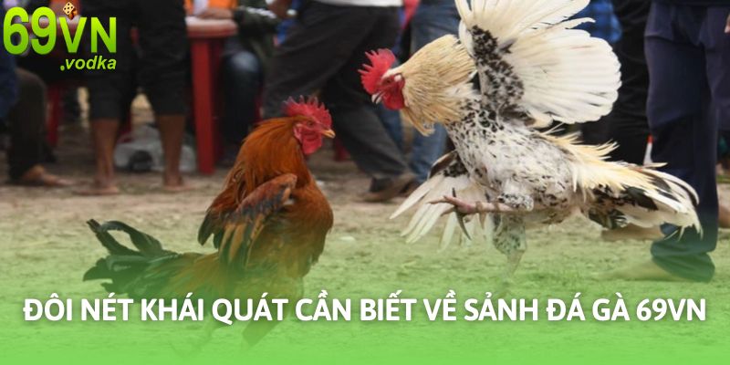 Đá gà 69VN mang đến sân chơi cá cược hàng đầu